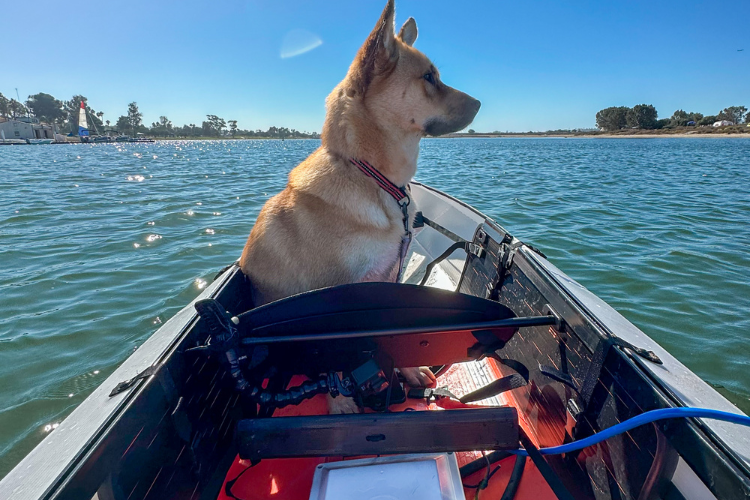 Motorize Your Oru Kayak with the Bixpy K-1 Motor