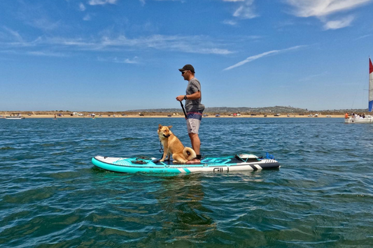 Hit the Waves Safely with Outboard Motor Guidelines for Pet-Friendly Water Activities