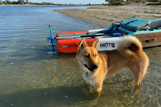 5 Ways to Have Fun With Bixpy Products This Spring!