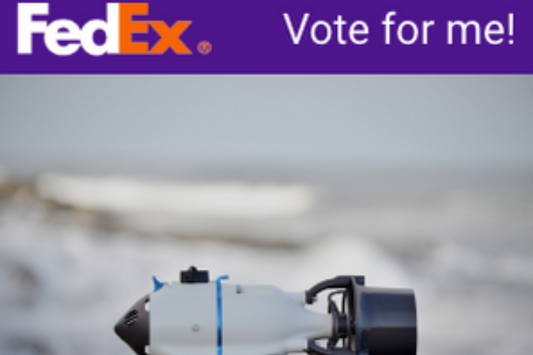 FedEx Small Business Grant Contest