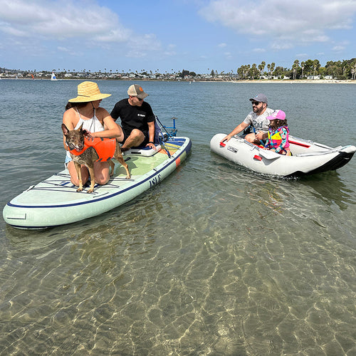 Safe Paddle Boarding with Your Pet