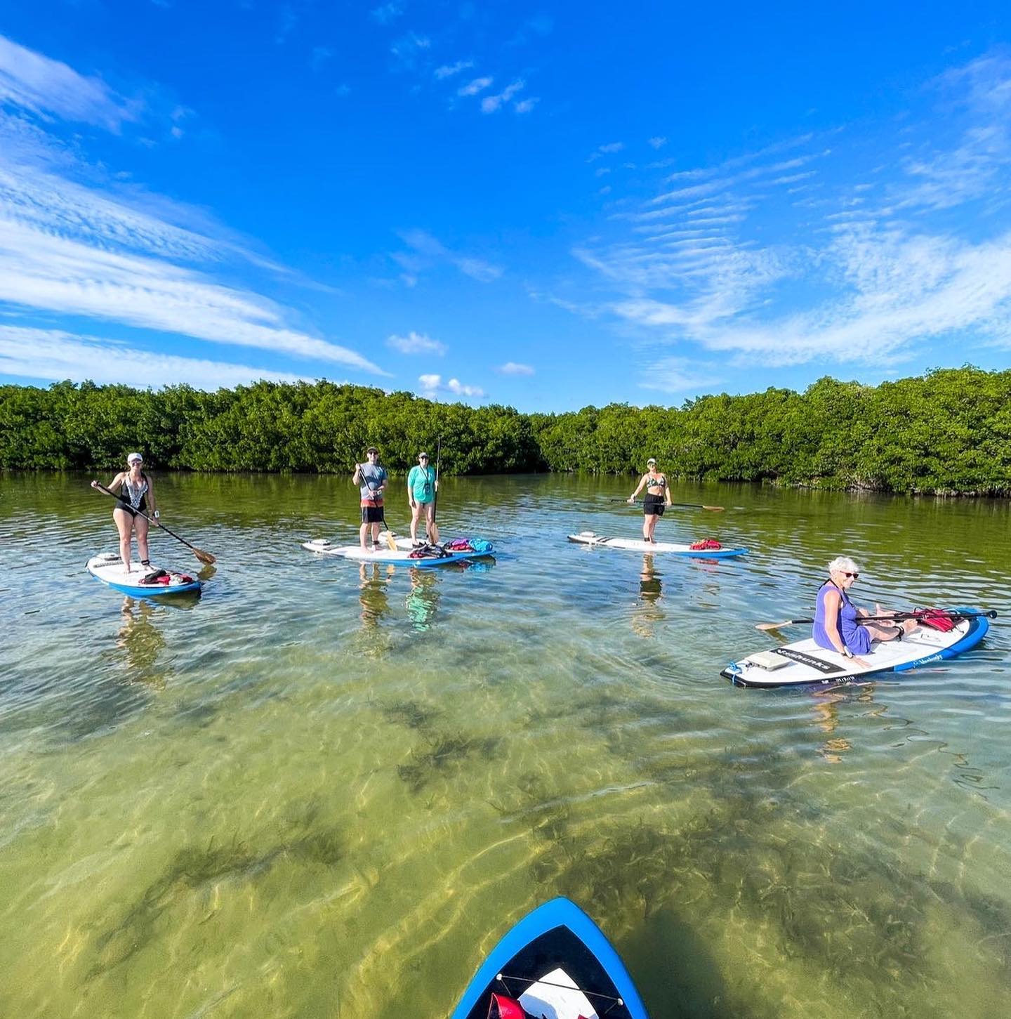 Group of paddleboarders use Bixpy motors