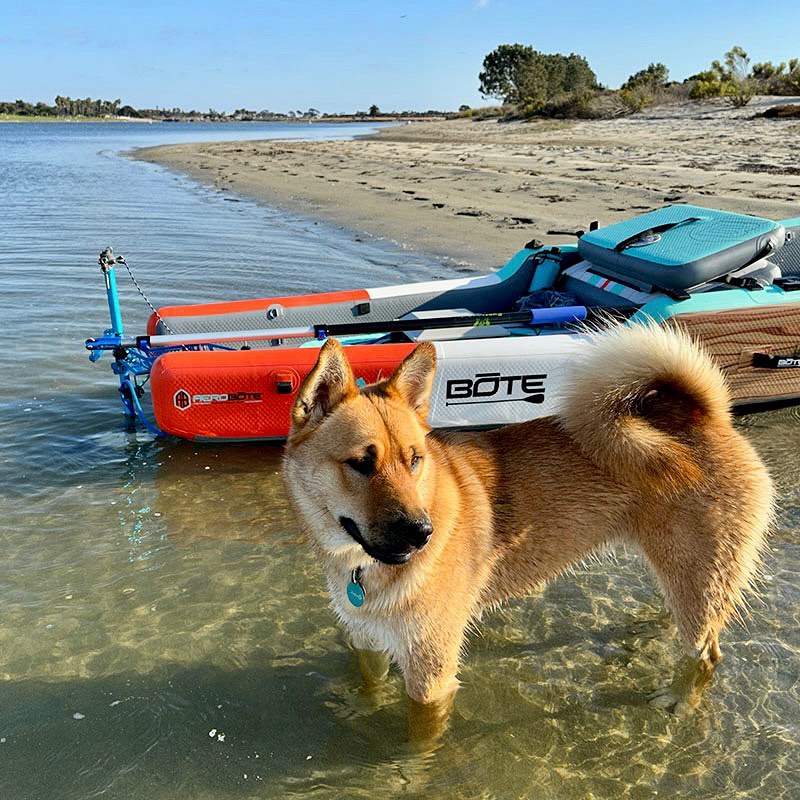 Dog next to kayak with Bixpy motor