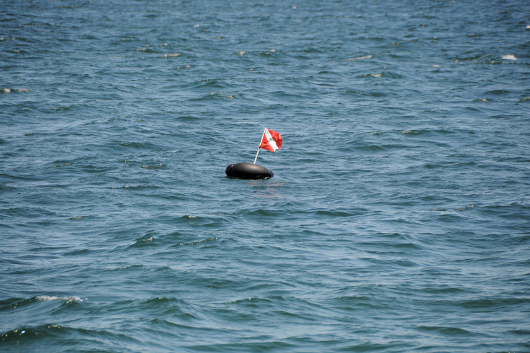 Red and white dive flag