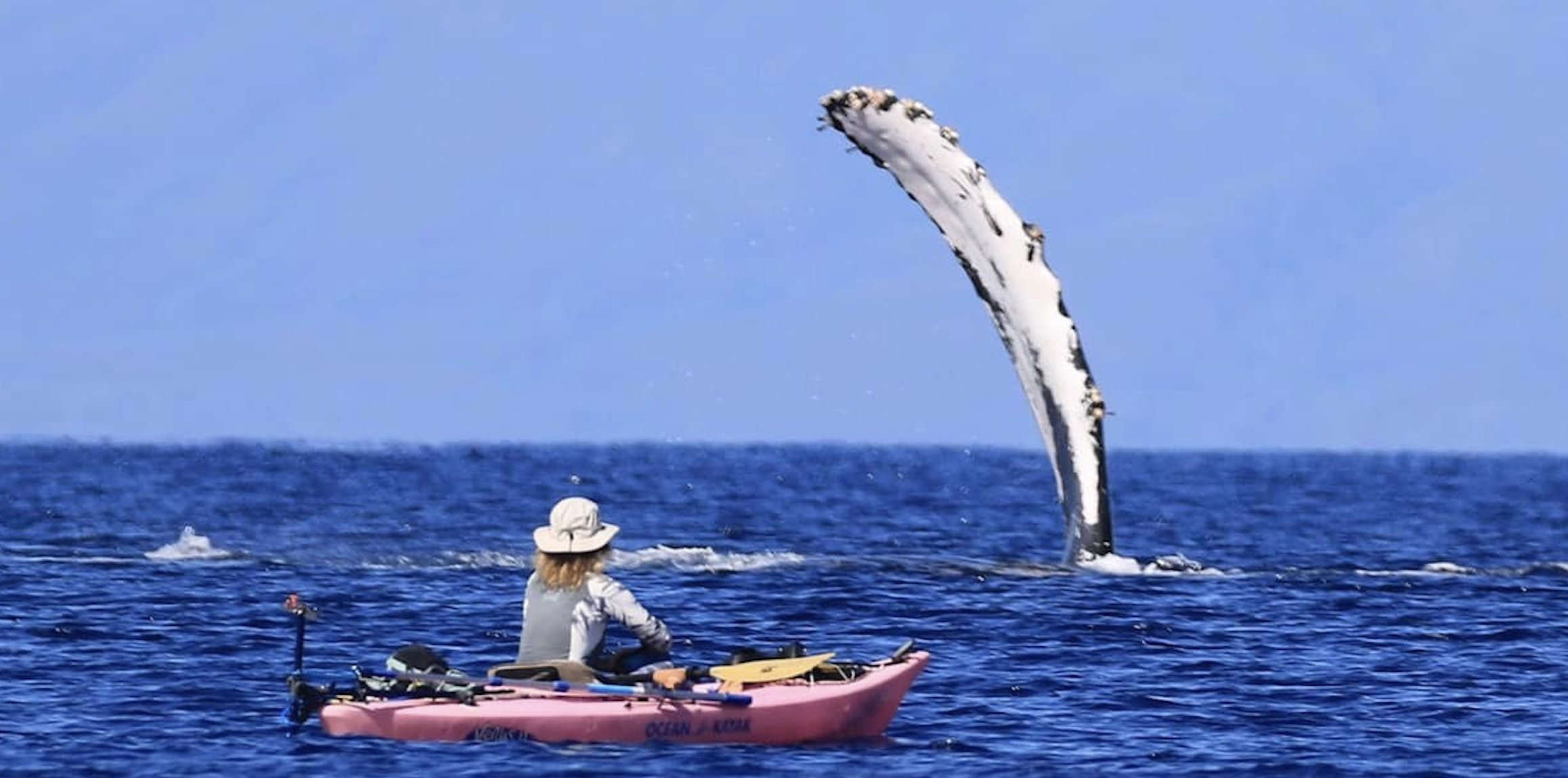 Woman in kayak with Bixpy motor whale watching