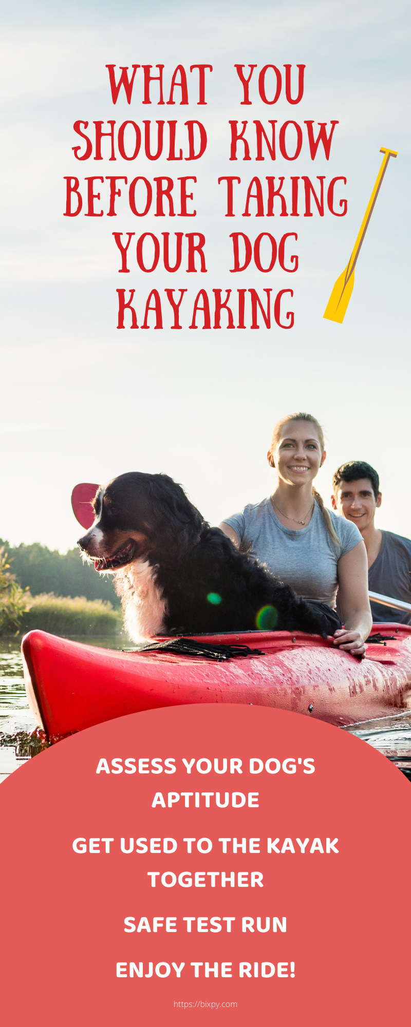 What ou Should Know Before Taking Your Dog Kayaking
